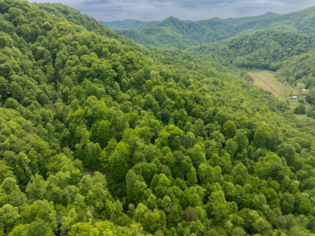 00 Walnut Cove Branch Road