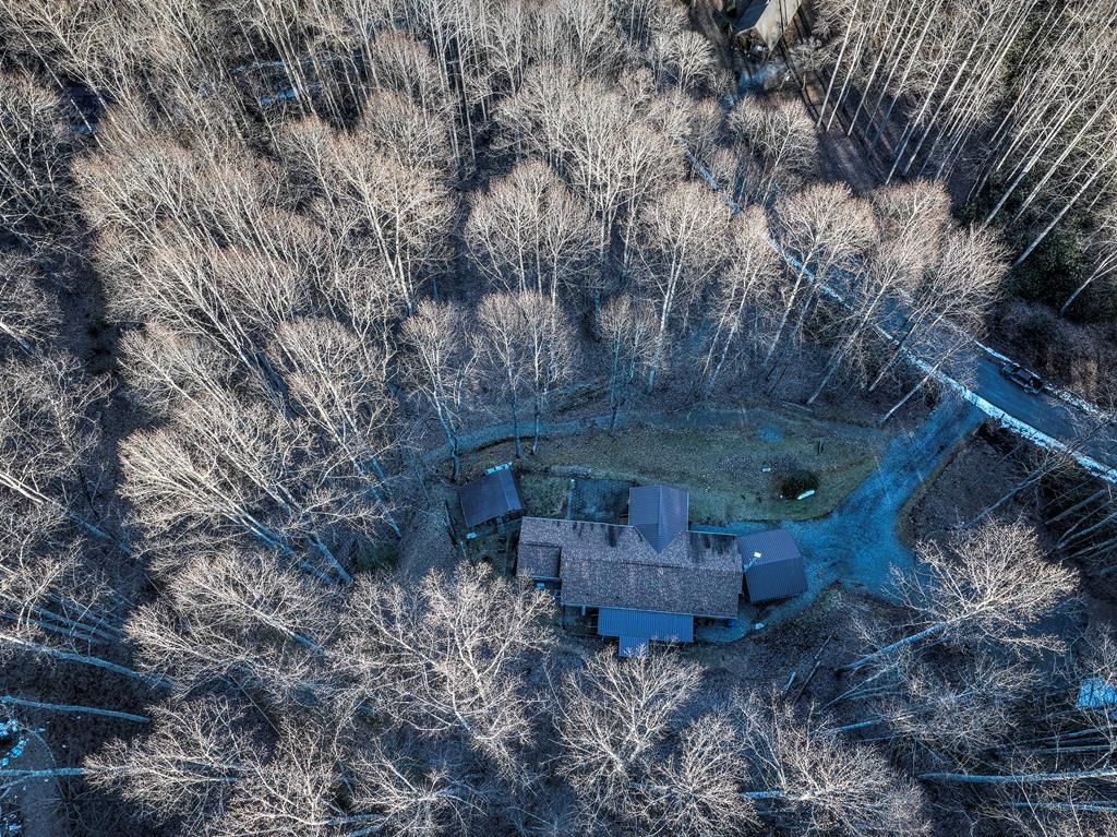 Photo of 390 Camp Branch, Whittier, NC 28789 (MLS # 26045269)