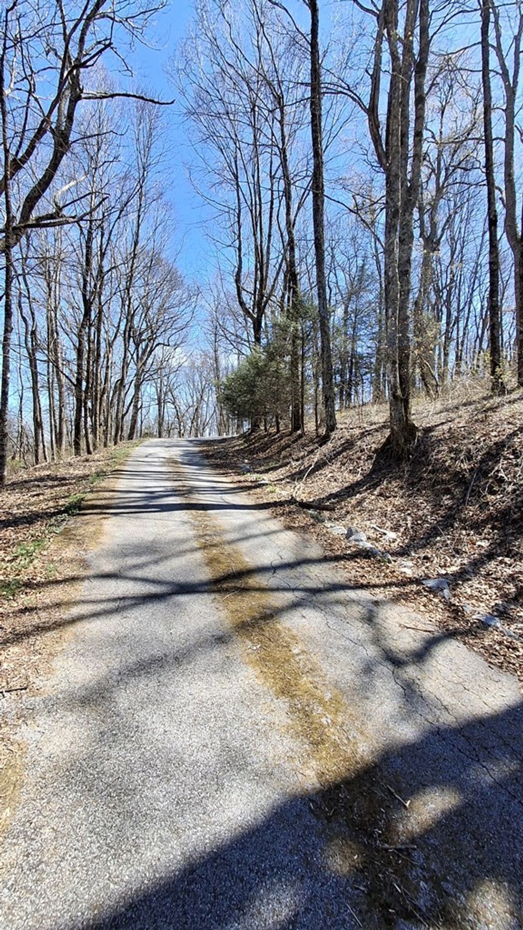 Photo of 00 Big Ridge Road, Glenville, NC 28736 (MLS # 26046912)