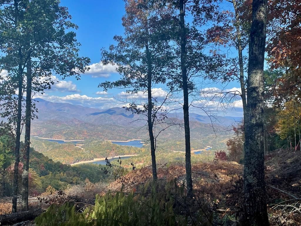 Photo of Lot 8 Rocky Ridge Rd, Almond, NC 28702 (MLS # 26042594)