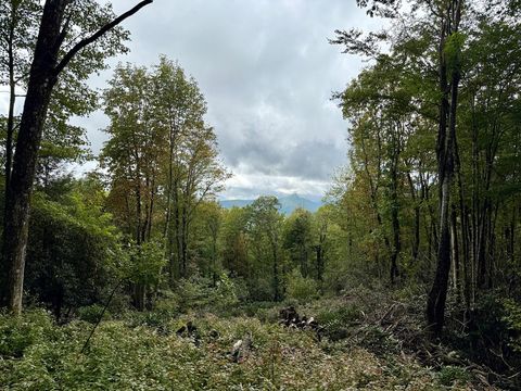 Photo of Sapphire, NC 28774 (MLS # 26042261)