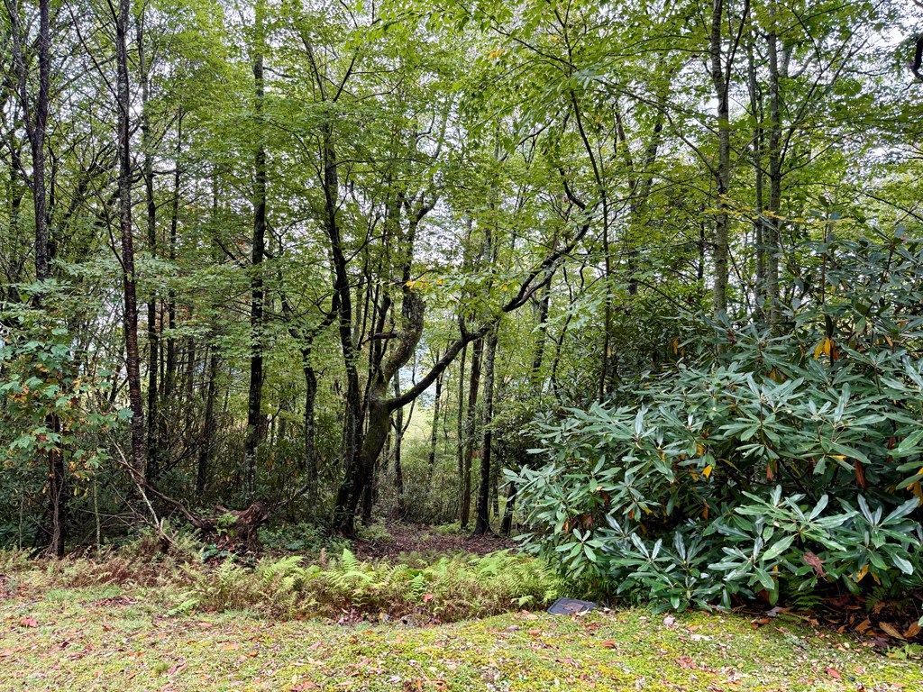 Photo of Sapphire, NC 28774 (MLS # 26042261)