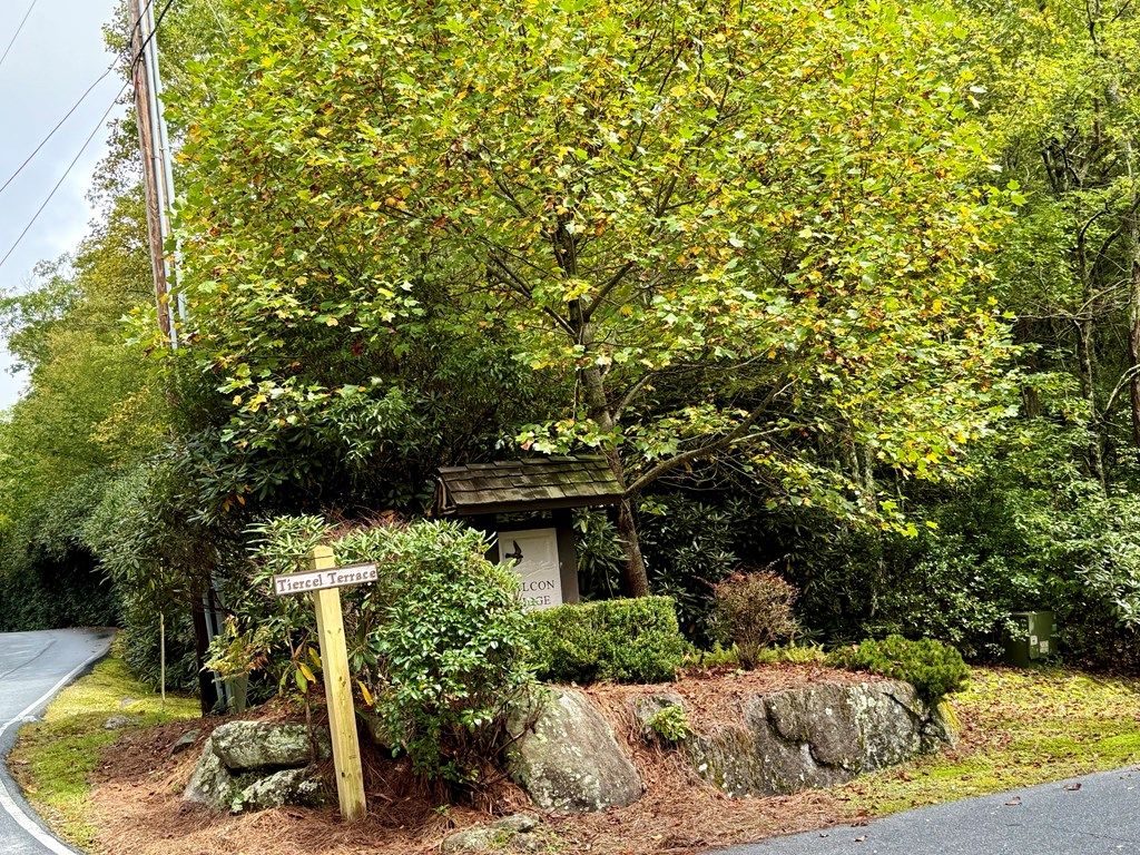 Photo of Sapphire, NC 28774 (MLS # 26042261)