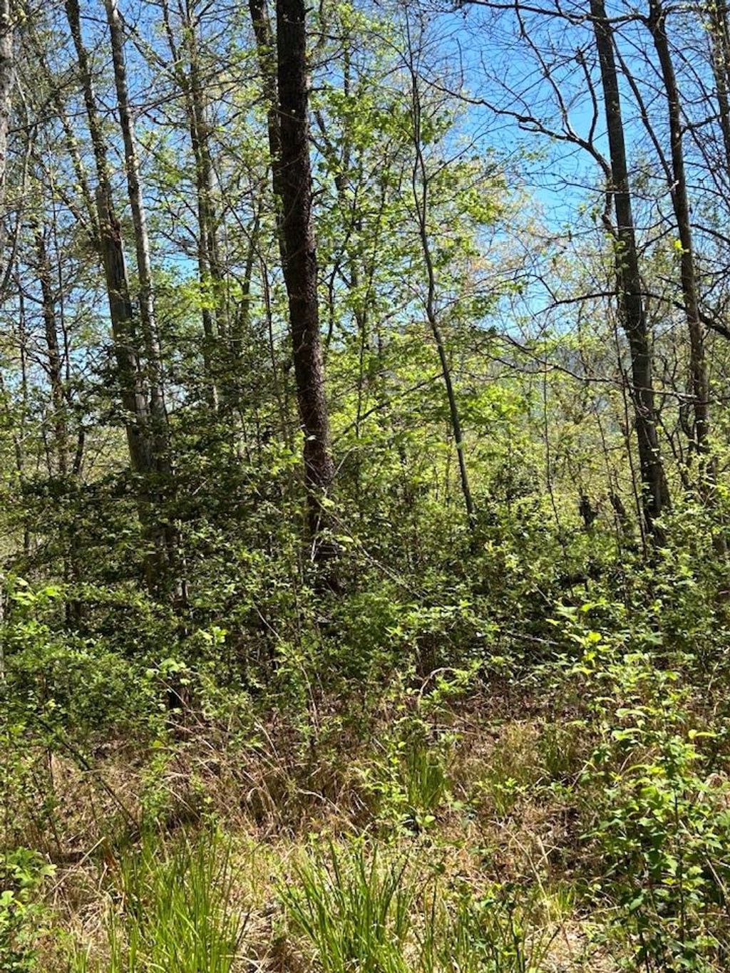 Photo of Lot 16 Oak View Rd, Whittier, NC 28789 (MLS # 26036426)