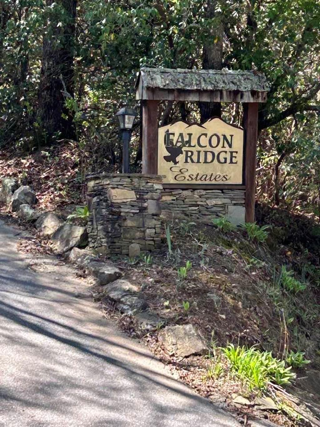 Photo of Lot 16 Oak View Rd, Whittier, NC 28789 (MLS # 26036426)