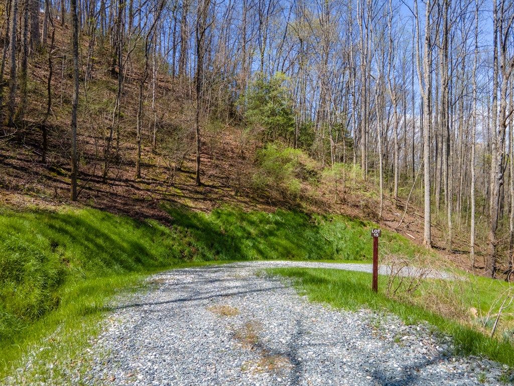 Photo of Lot 15 Bryson Gap Preserve, Bryson City, NC 28713 (MLS # 26036760)