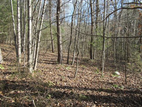 Photo of 00 Country Walk, Franklin, NC 28734 (MLS # 26043167)