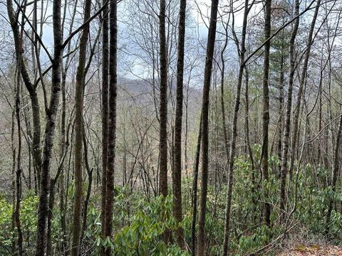 Photo of Lot 16 Stillwind Dr, Topton, NC 28781 (MLS # 26043005)