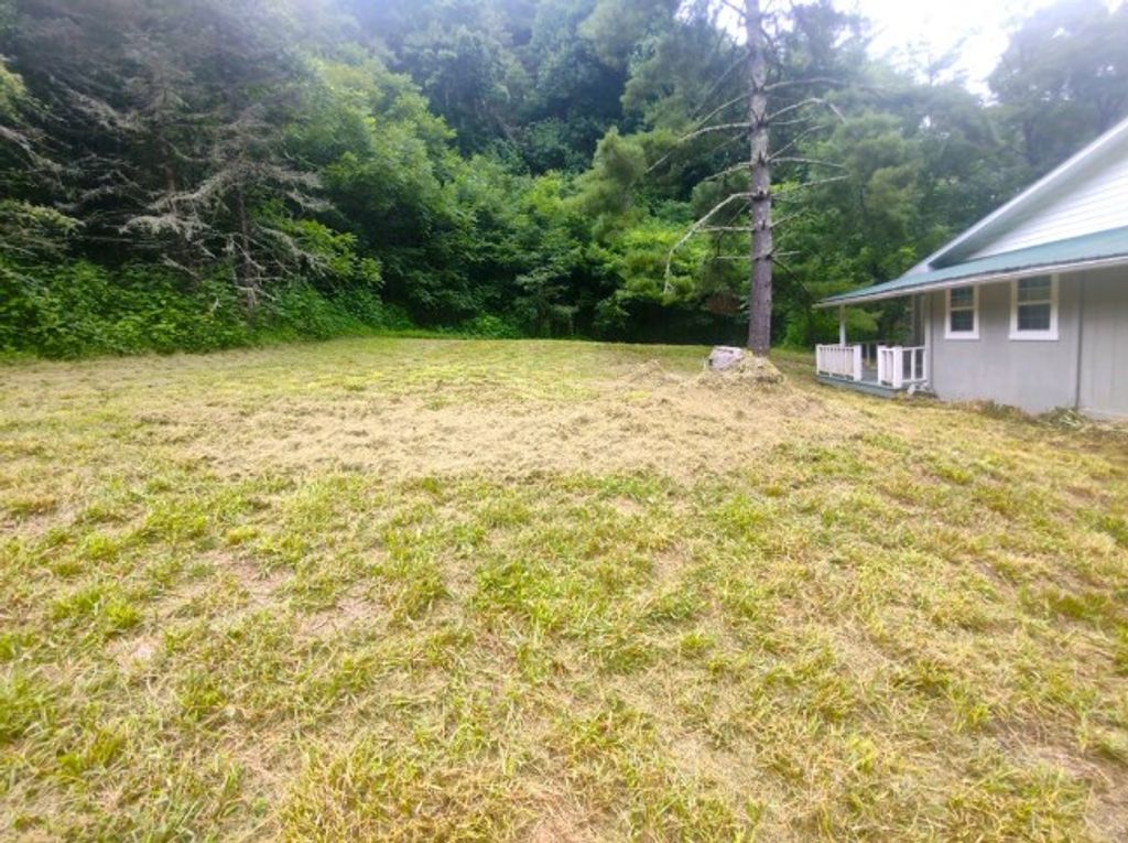 Photo of 8222 Alarka Road, Bryson City, NC 28713 (MLS # 26042794)