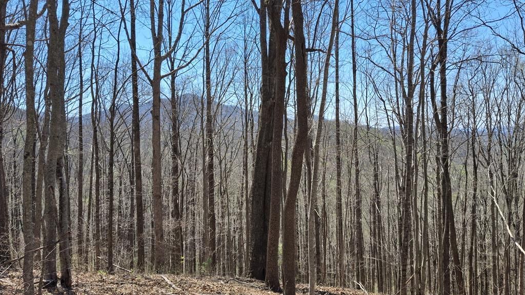 Photo of 00 Maynor Drive, Sylva, NC 28779 (MLS # 26046899)
