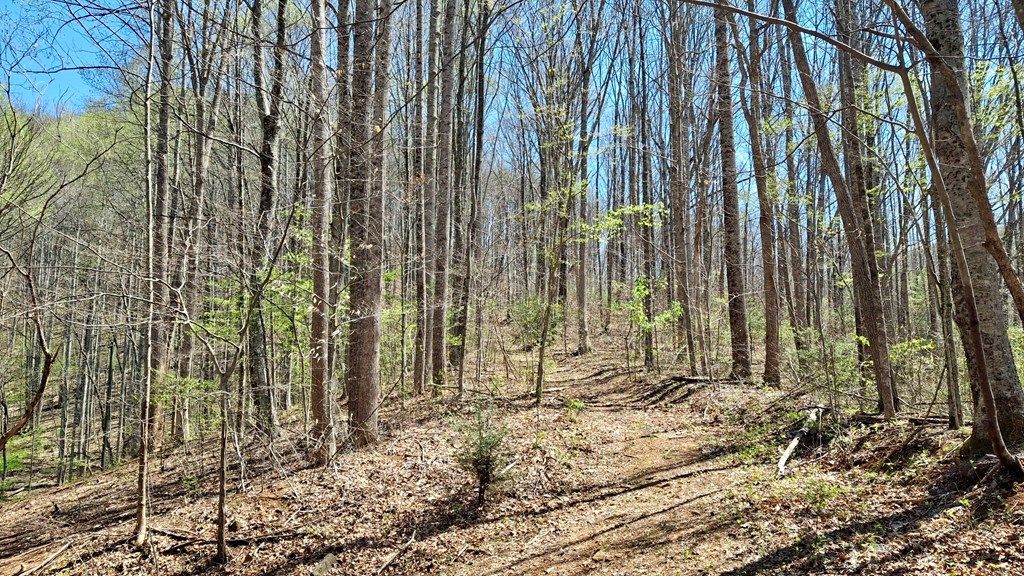 Photo of 00 Maynor Drive, Sylva, NC 28779 (MLS # 26046899)