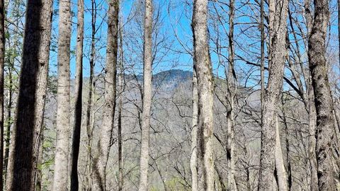 Photo of 00 Maynor Drive, Sylva, NC 28779 (MLS # 26046899)