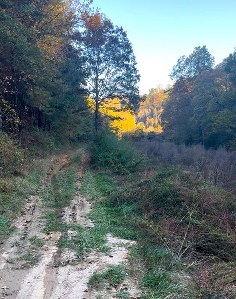 Photo of 0000 Bumgarner Cemetery Rd, Whittier, NC 28789 (MLS # 26042524) Photo of 0000 Bumgarner Cemetery Rd, Whittier, NC 28789 (MLS # 26042524)