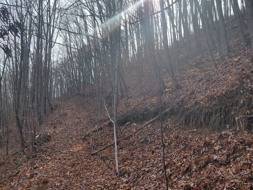 Photo of 0 Lands Creek, Bryson City, NC 28713 (MLS # 26042828)