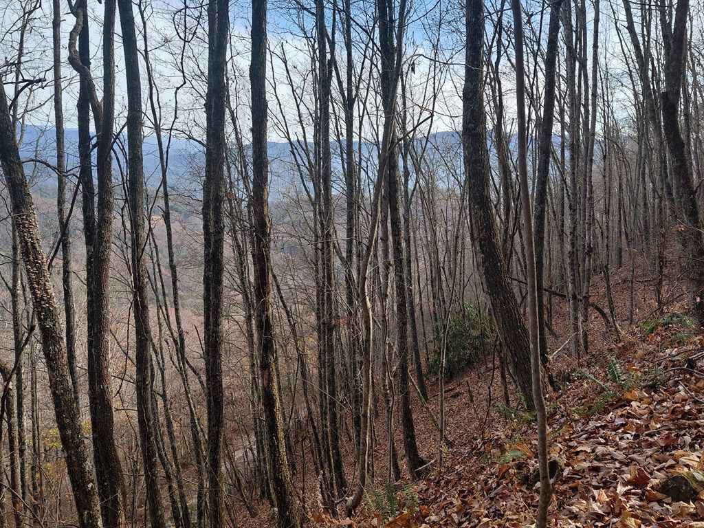 Photo of 0 Lands Creek, Bryson City, NC 28713 (MLS # 26042828)