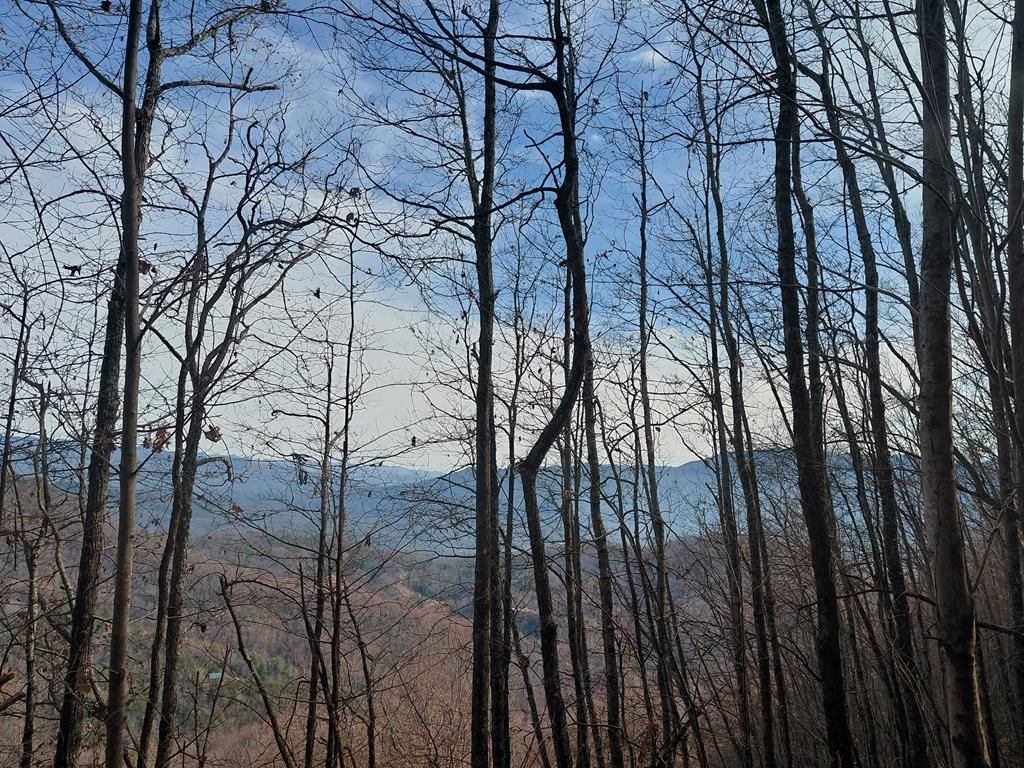 Photo of 0 Lands Creek, Bryson City, NC 28713 (MLS # 26042828)