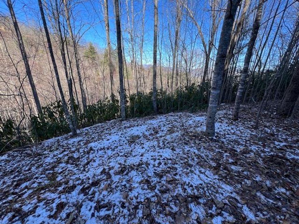 Photo of 621 Round Top Road, Almond, NC 28702 (MLS # 26043136)