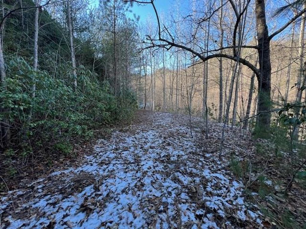 Photo of 621 Round Top Road, Almond, NC 28702 (MLS # 26043136)