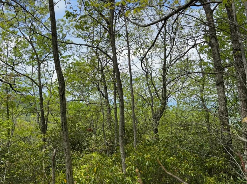 Photo of 0 Cowee, Bryson City, NC 28713 (MLS # 26040865)