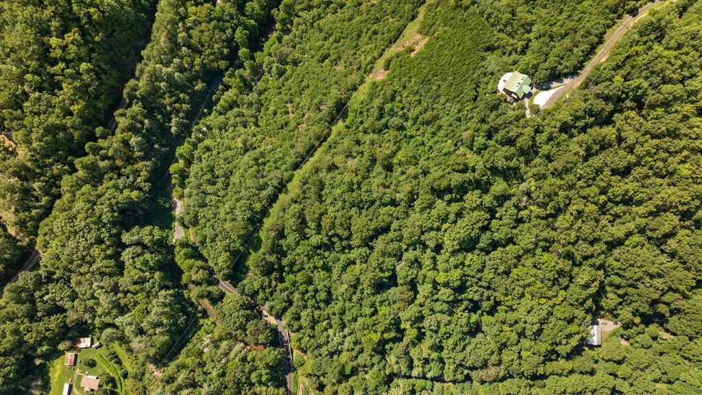 Photo of Lot 20 Cowee Mountain, Bryson City, NC 28713 (MLS # 26041812)