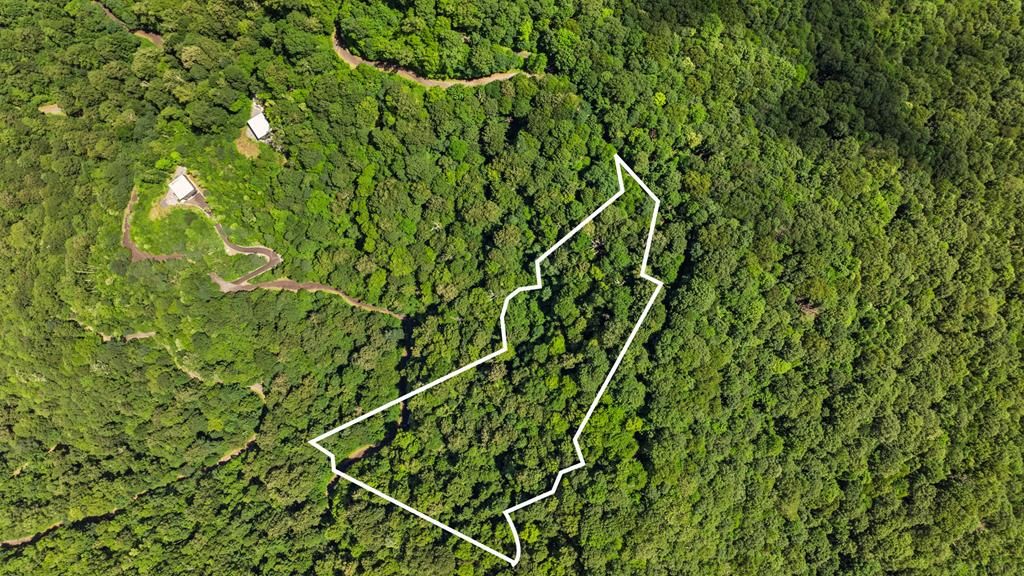 Photo of Lot 20 Cowee Mountain, Bryson City, NC 28713 (MLS # 26041812)