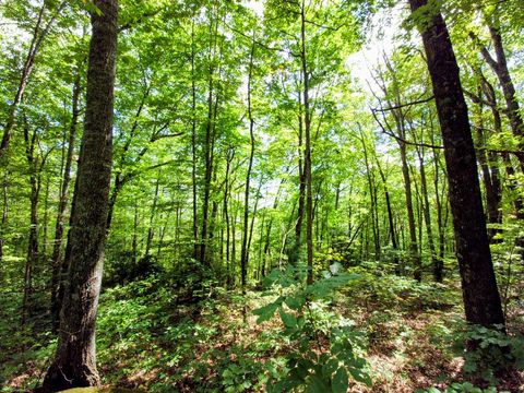 Photo of Lot 11 E Cliff Rd, Cullowhee, NC 28723 (MLS # 26042126)