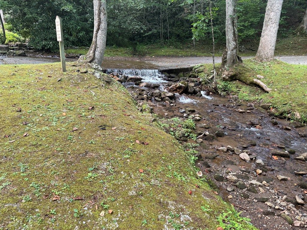 Photo of 151 Red Leafe Trl, Sylva, NC 28779 (MLS # 26041607)