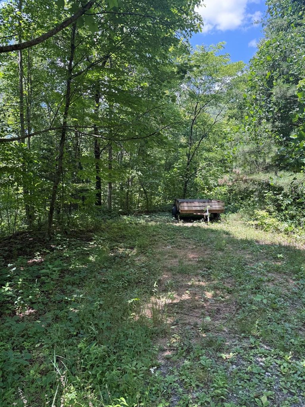 Photo of 151 Red Leafe Trl, Sylva, NC 28779 (MLS # 26041607)