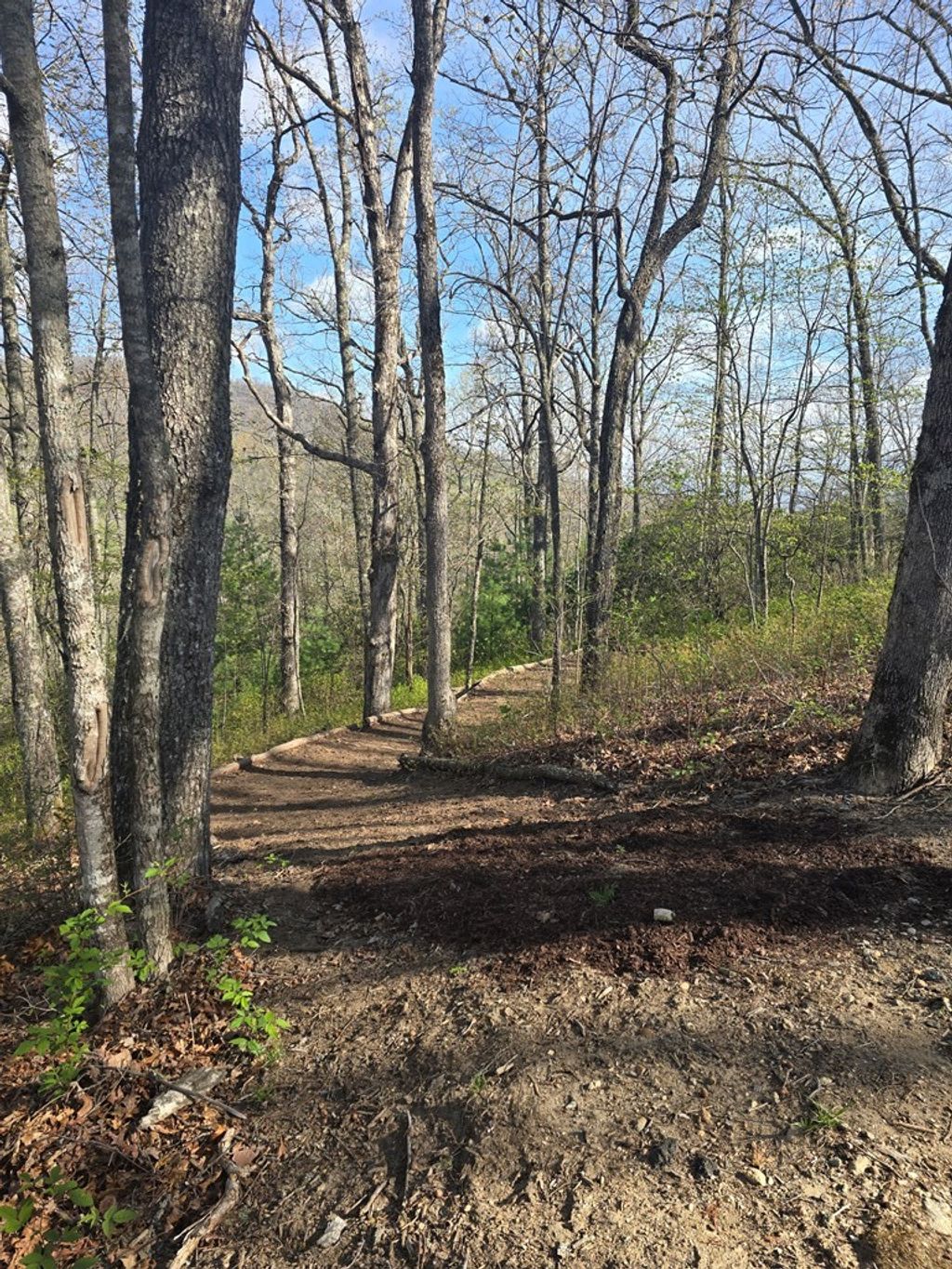 Photo of 82 &amp; 83 Waterdance Drive, Tuckasegee, NC 28783 (MLS # 26046700)