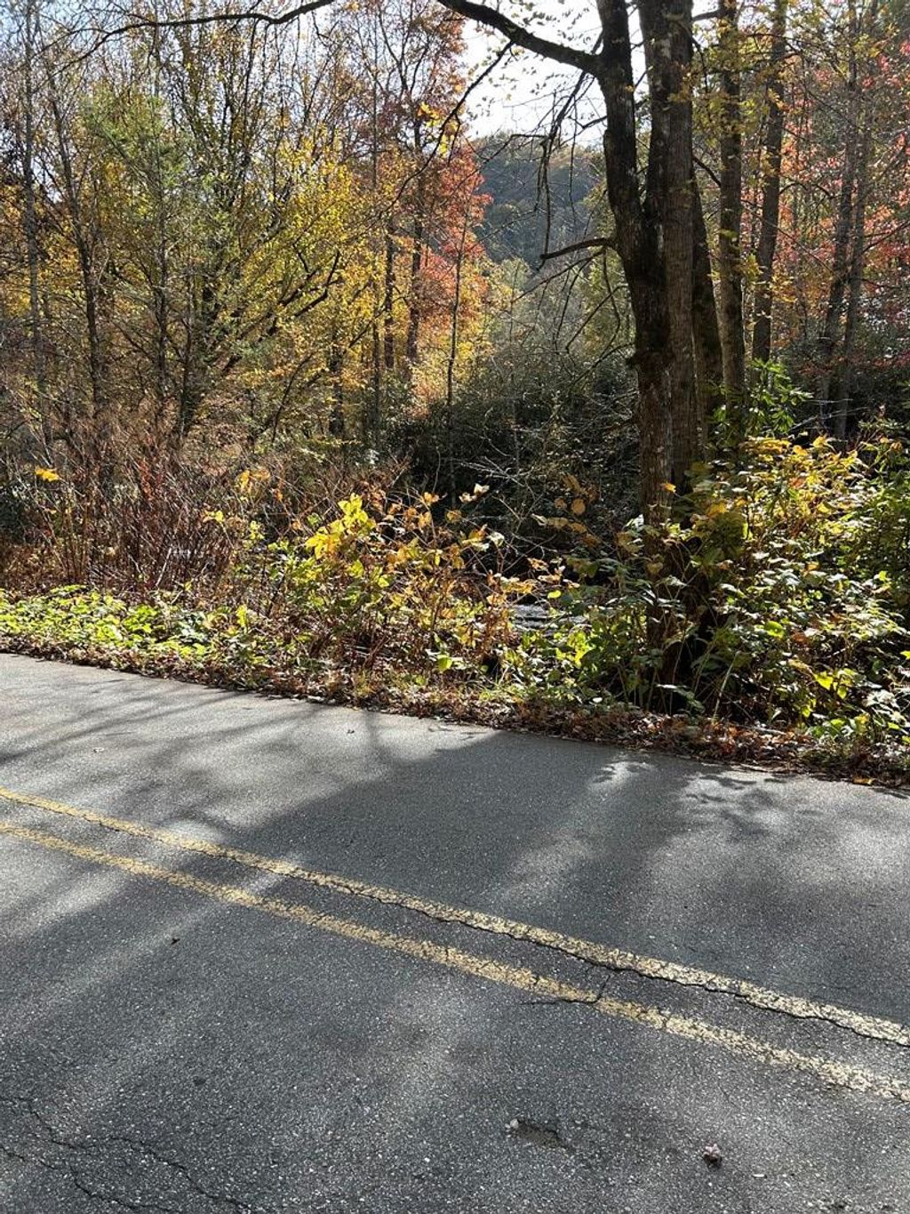 Photo of 0 Alarka Rd, Bryson City, NC 28713 (MLS # 26042503)