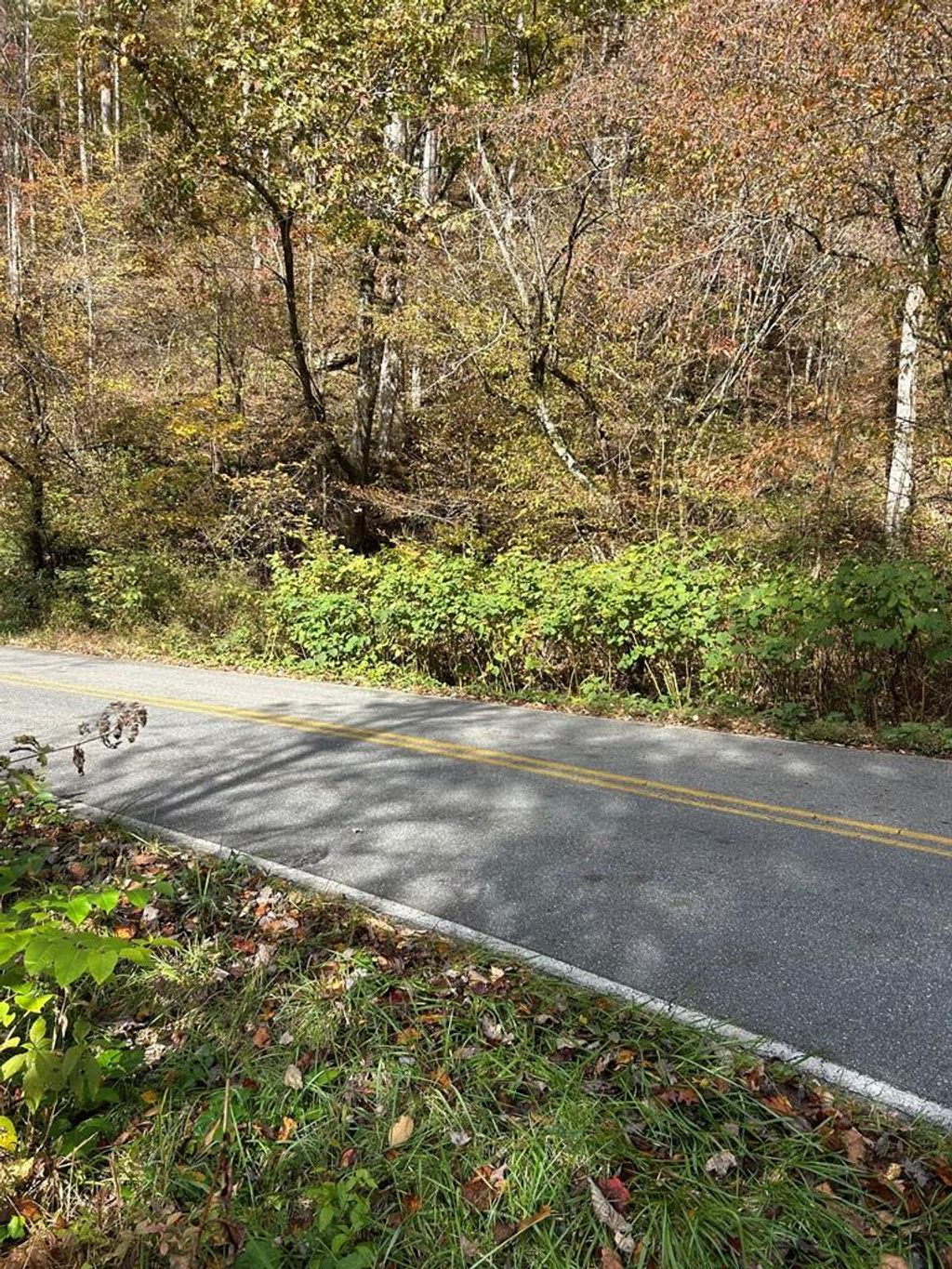 Photo of 0 Alarka Rd, Bryson City, NC 28713 (MLS # 26042503)