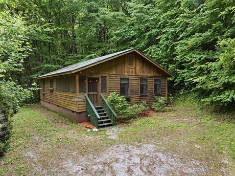 Photo of 326 Little Laurel Creek Road, Bryson City, NC 28713 (MLS # 26047500)