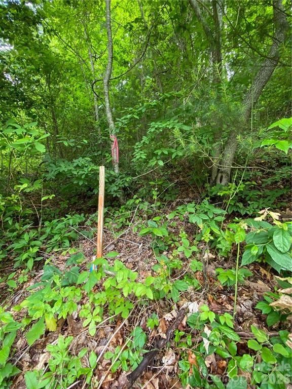 Lot 80 Shagbark Dr