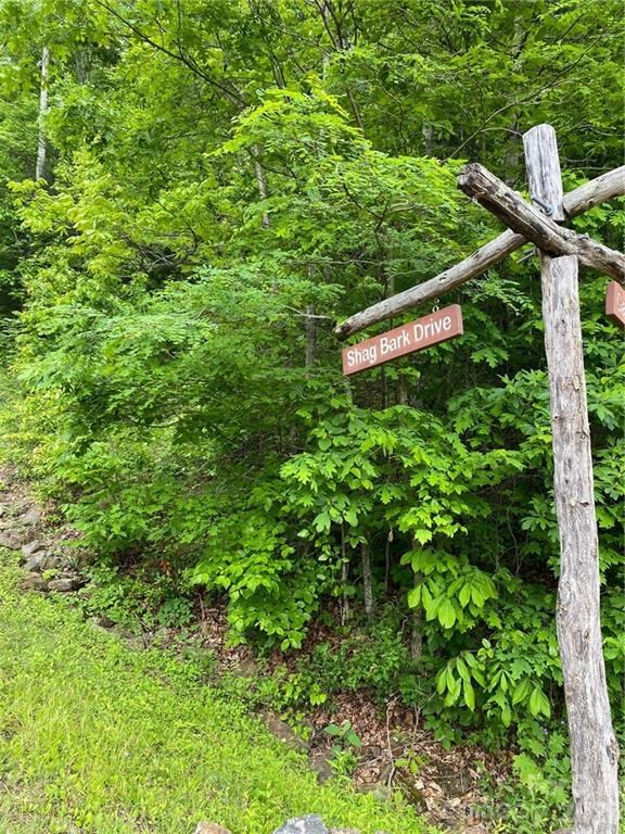 Lot 80 Shagbark Dr