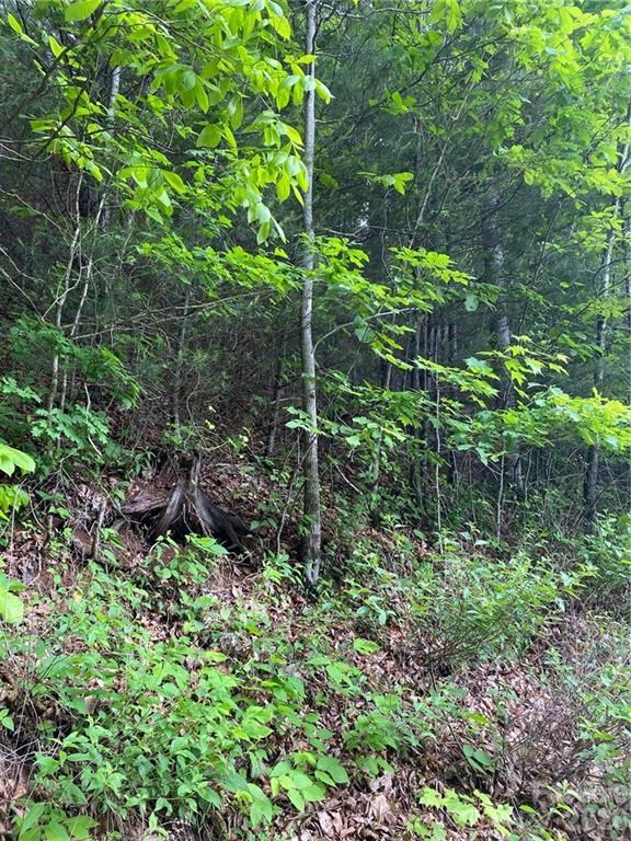 Lot 80 Shagbark Dr