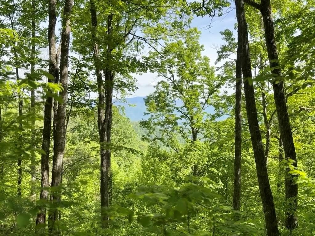 Photo of 0 High Knob, Bryson City, NC 28713 (MLS # 26047151)