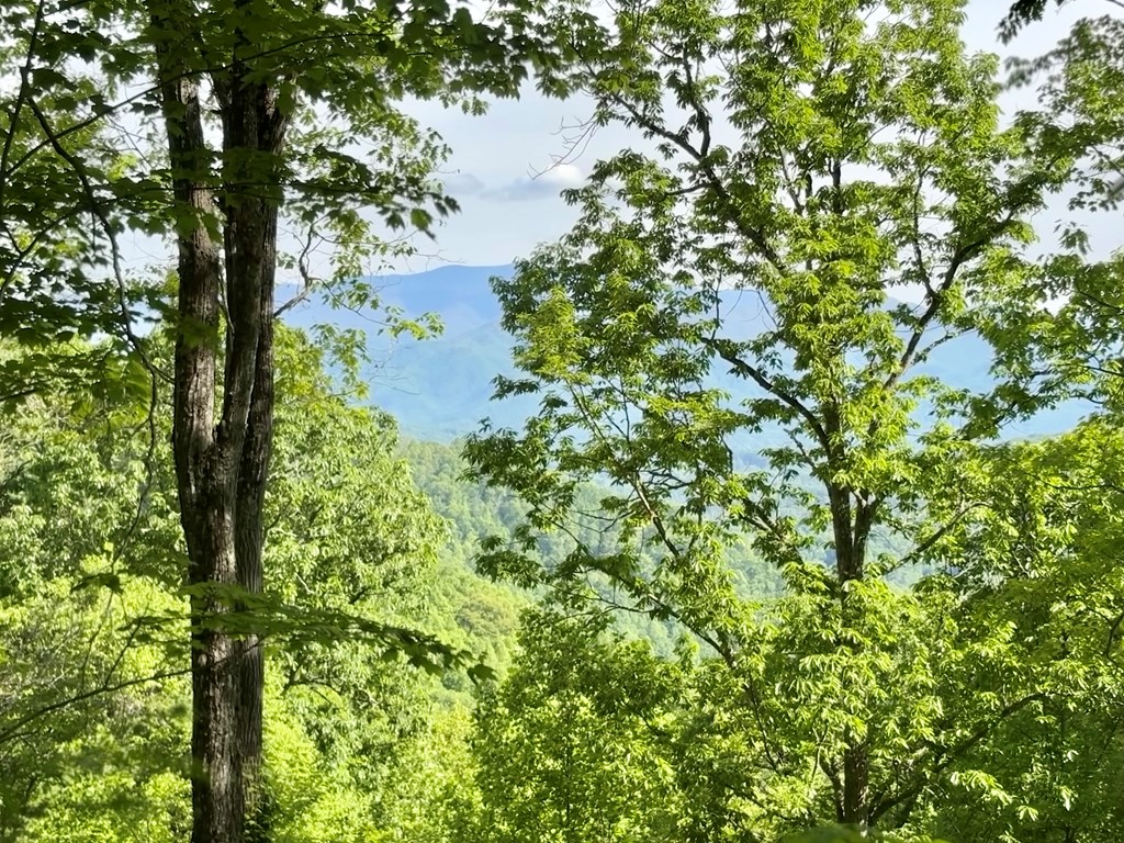 0 High Knob