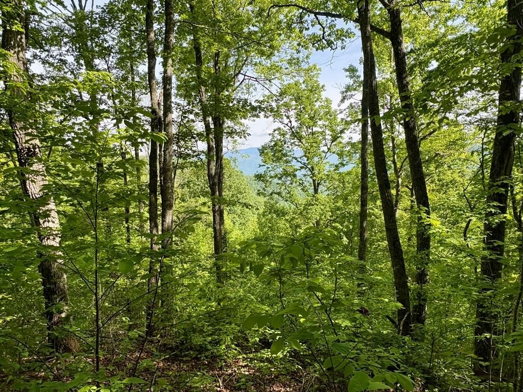 Photo of 0 High Knob, Bryson City, NC 28713 (MLS # 26047151)
