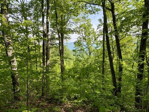 Photo of 0 High Knob, Bryson City, NC 28713 (MLS # 26047151)
