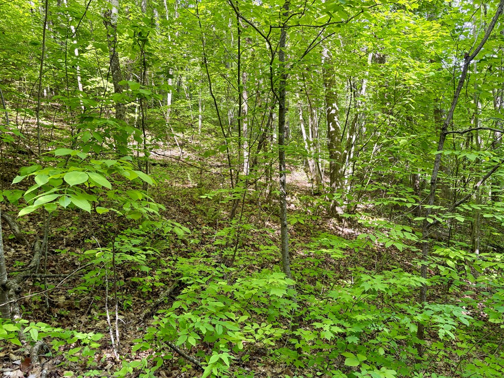 0 High Knob