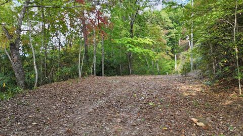Photo of 499 Deep Springs Dr, Franklin, NC 28734 (MLS # 26042284)