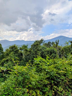 3 FOREST DR, MAGGIE VALLEY, NC 28751 - Image f595d9ccc91b7010cffd2cf5e81d7858/423665303