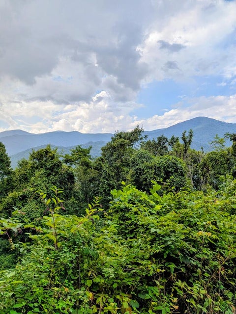 Photo of #3 Forest Drive, Maggie Valley, NC 28751 (MLS # 26048332)