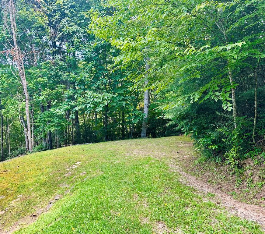 Topton, North Carolina 28781, United States, 2 Bedrooms Bedrooms, ,2 BathroomsBathrooms,Residential,Active,172635