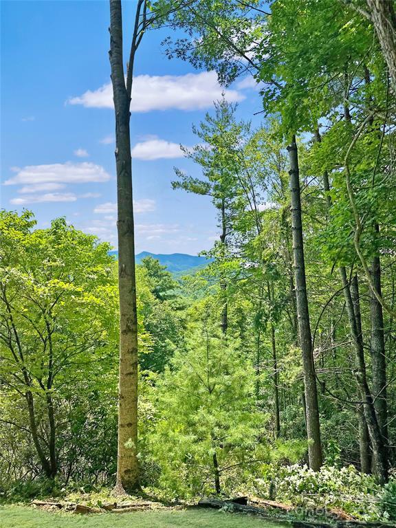 Topton, North Carolina 28781, United States, 2 Bedrooms Bedrooms, ,2 BathroomsBathrooms,Residential,Active,172635