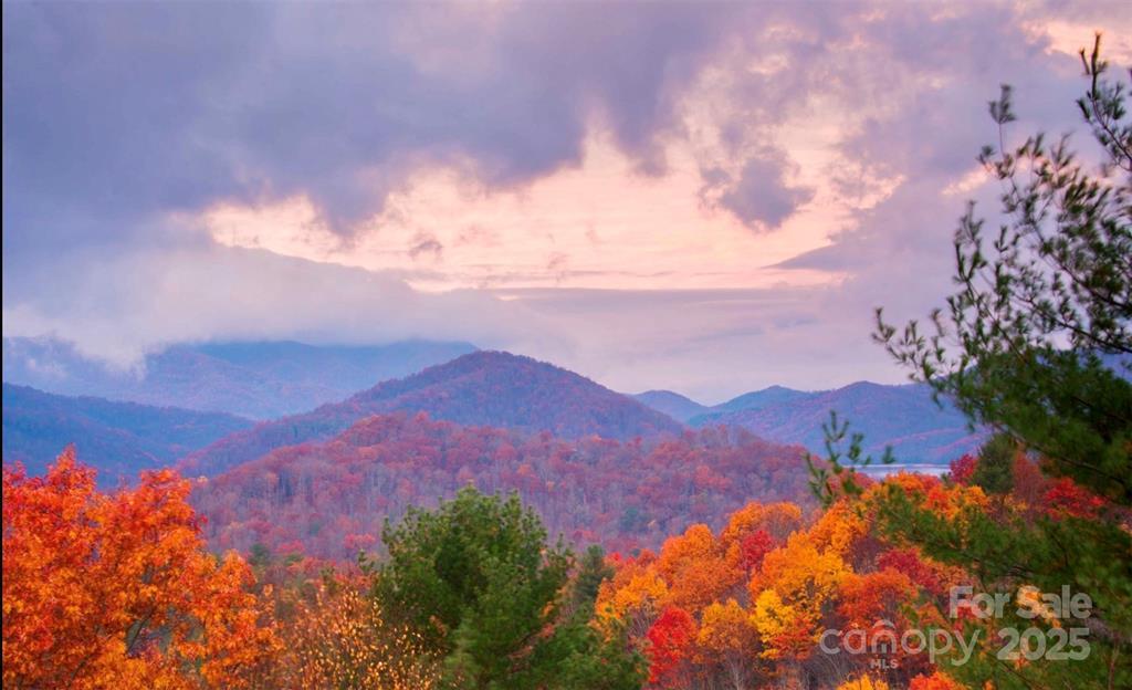 Topton, North Carolina 28781, United States, 2 Bedrooms Bedrooms, ,2 BathroomsBathrooms,Residential,Active,172635