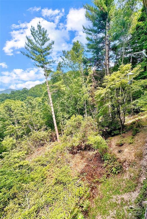 Topton, North Carolina 28781, United States, 2 Bedrooms Bedrooms, ,2 BathroomsBathrooms,Residential,Active,172635