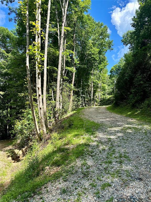 Topton, North Carolina 28781, United States, 2 Bedrooms Bedrooms, ,2 BathroomsBathrooms,Residential,Active,172635