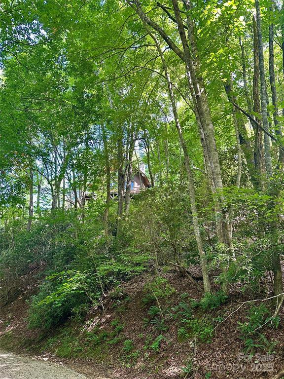 Topton, North Carolina 28781, United States, 2 Bedrooms Bedrooms, ,2 BathroomsBathrooms,Residential,Active,172635