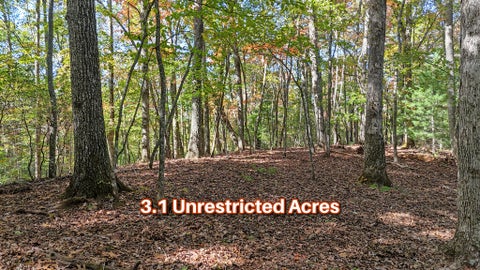 Photo of 760 Otto Heights Rd, Franklin, NC 28734 (MLS # 26048781)